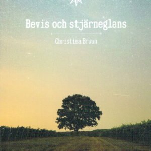 BEVIS OCH STJÄRNEGLANS - dikter