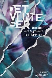 DET VI INTE SER - OM ATT BLI & FÖRBLI EN KRISTEN