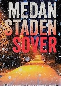 MEDAN STADEN SOVER - En roman om brott