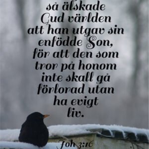 AFFISCH - Joh. 3:16