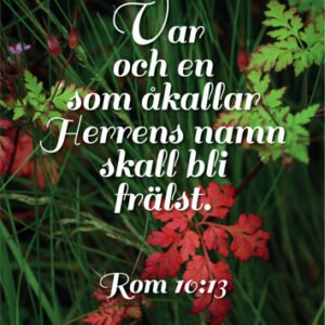 AFFISCH - Rom 10:13