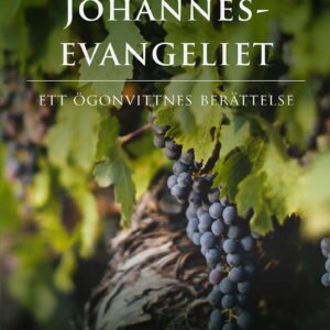 BIBEL SFB15  JOHANNESEVANGELIET - ett ögonvittnes berättelse