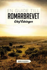EN GUIDE TILL ROMARBREVET
