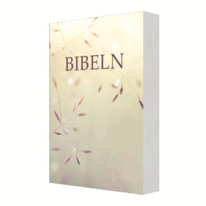 BIBEL SFB15 KOMPAKT äng