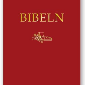 BIBEL SFB15 STORSTIL A4 RÖD SKINNIMITATION