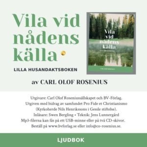 VILA VID NÅDENS KÄLLA  - USB -minne - LJUDBOK
