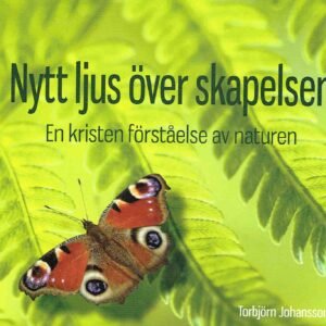 NYTT LJUS ÖVER SKAPELSEN