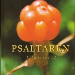 Psaltaren illustrerad