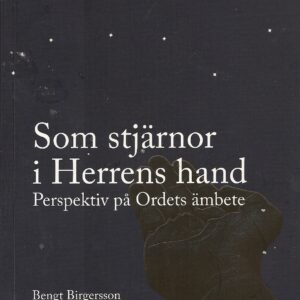 Som stjärnor i Herrens hand - perspektiv på Ordets ämbete