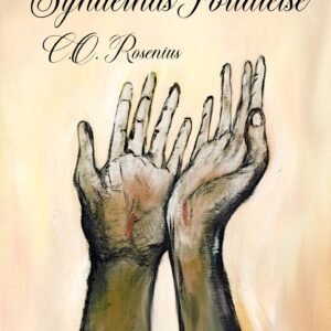 SYNDERNAS FÖRLÅTELSE